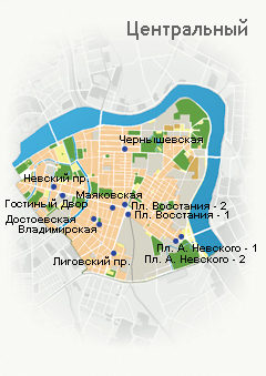Центральний район входить в число районів, що становлять історичне ядро ​​Санкт-Петербурга (майже вся його територія забудована до 1917 року)