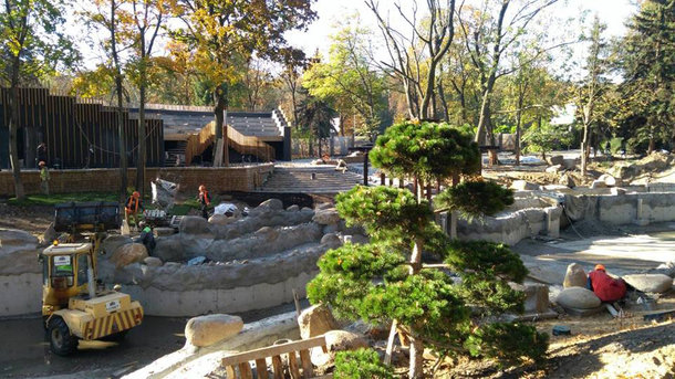 14 листопада 2018, 8:59 Переглядів:   У столичному зоопарку наближається до фінішу перший етап масштабної реконструкції, яка стартувала в минулому році