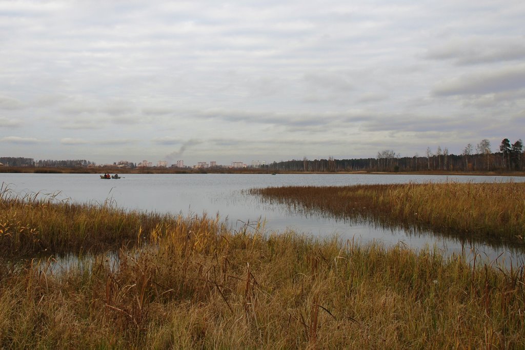 Жителі Істрінського району обурені повзучим захопленням природної території, яка раніше була особливо охороняється