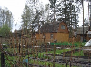 Міністерство юстиції України   на чиєсь звернення роз'яснило деякі норми законодавства, що стосуються садівничих товариств