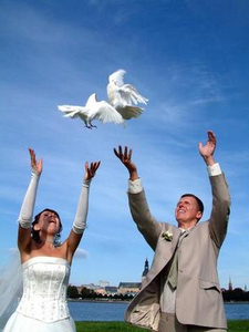 Випуск голубів на весілля - стародавній звичай, що прийшов до нас з Італії